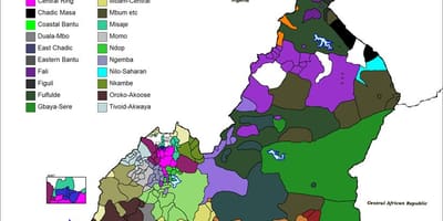नक्शा कैमरून की भाषा